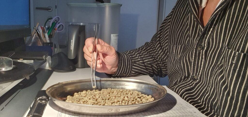 Erwin sortiert Rohkaffee in der handwerklichen Rösterei Roasting Brothers Guntramsdorf